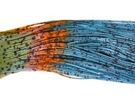 Lure Parts Online Bass Academy Double Tip Skirts 10pk - Image 3