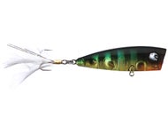 Garrett's Gill