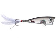 Rick Clunn Aurora Ice