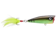 Grasshopper