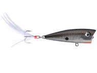 Tennessee Shad