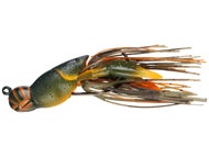 Olive Orange