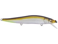 Mat Tennessee Shad