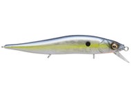GP Sexy Shad