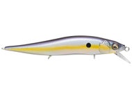 Megabass Sexy Shad
