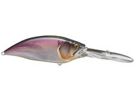 Kohoku Natural