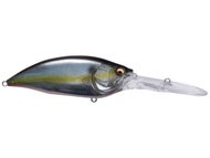 Jukucho Shad