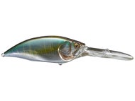 Wagin Hasu BM