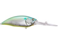 Yuzu Shad