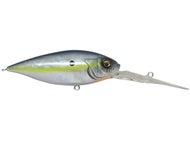 GP Sexy Shad