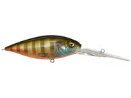 Biwako Clear Gill