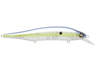 GP Sexy Shad