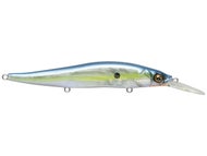 GP Sexy Shad