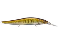 GG Smallmouth Bass