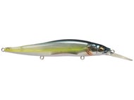 HT Kossori Shad