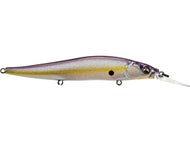 Megabass Sexy Shad