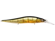 GG Perch OB