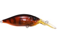 Wild Craw