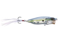 GP Sexy Shad