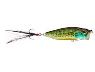 Pumpkinseed