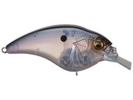 PM Ghost Shiner