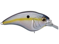 Megabass Sexy Shad