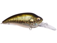 GG Bass