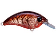 Ozark Craw