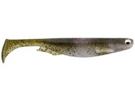 Rainbow Trout