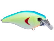 Chartreuse Blue Back