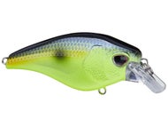 Chartreuse Black Back