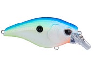 Citrus Shad