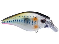 Threadfin Shad