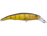 Yellow Perch