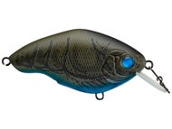 Brown Craw Fish