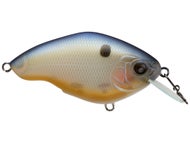 BPB Shad