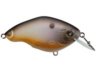 Ghost Shad