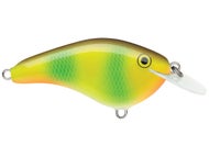 Coosa Special