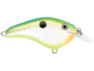Citrus Shad