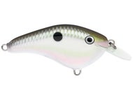 Green Gizzard Shad