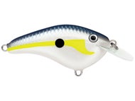 Helsinki Shad