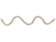 Leurre OSP Worm MMZ Deca TWF203 – Isome Haute Flottabilité – NEUF