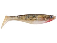 HD Red Belly Goby