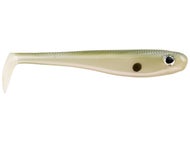 Gizzard Shad