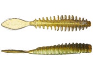 Gobies & Leeches