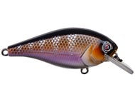 River2Sea Ish Monroe Biggie Poppa Crankbait - Squarebill, 2 5/8", 9/16 Oz, Dives 3-5 Ft, Rattle Fast Floating (Smalls Bumpin')