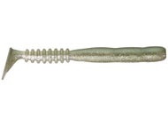 Gizzard Shad