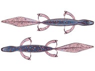 Lizards