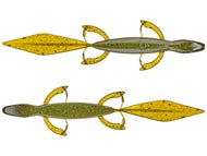 Lizards
