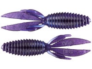 Main Vein
